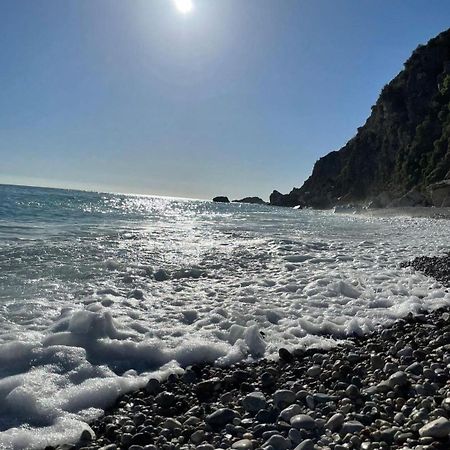 Apartments Villa Simonovic Petrovac 外观 照片