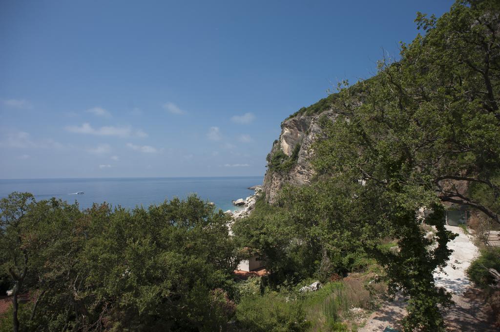 Apartments Villa Simonovic Petrovac 外观 照片